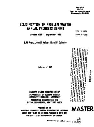 Solidification of problem wastes: Annual progress report, October 1985-September 1986
