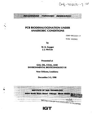 PCB biohalogenation under anaerobic conditions