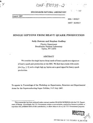 Single leptons from heavy quark production