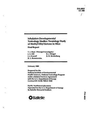 Inhalation developmental toxicology studies: Teratology study of methyl ethyl ketone in mice: Final report