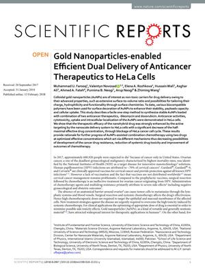 Gold Nanoparticles-enabled Efficient Dual Delivery of Anticancer Therapeutics to HeLa Cells