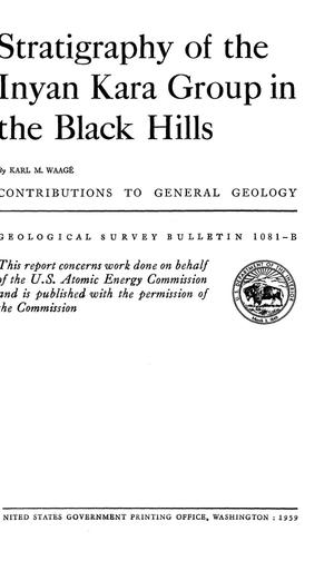 Stratigraphy of the Inyan Kara Group in the Black Hills