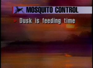 [News Clip: Mosquitos]