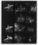 Photograph: [Sheet of Unidentified Orchestra Members]