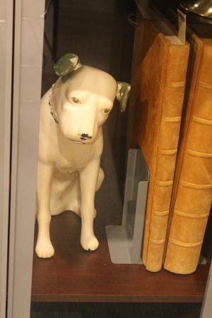 [Dog statue in display case]