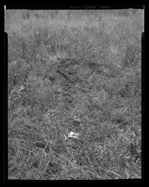 [Photograph of a small helicopter part laying in a field of grass]