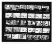 Primary view of [Sheet of Photographs of Stan Kenton]