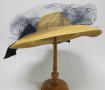 Primary view of Picture Hat