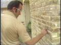 Video: [News Clip: #1 Mexican Bricks Law]