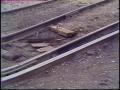 Video: [News Clip: Railroad]