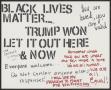 Primary view of [White "Trump Won, Let It Out Here & Now" poster]