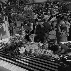[Food table in the park]