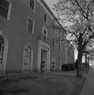 [Entrance to Crumley Hall and trees, 2]
