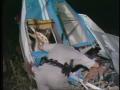 Video: [News Clip: Plane crash]