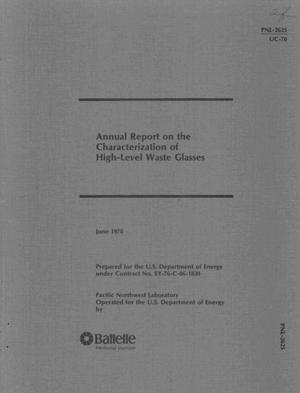 Annual report on the Characterization on the high-level waste glasses.