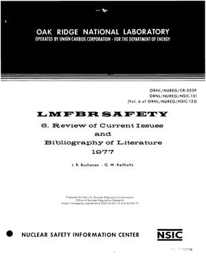 LMFBR safety. 6. Review of current issues and bibliography of literature (1977)
