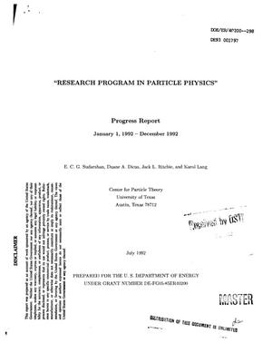 Research program in particle physics
