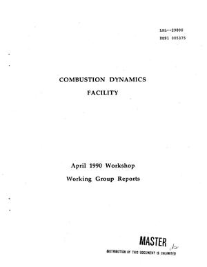 Combustion Dynamics Facility: April 1990 Workshop Working Group Reports