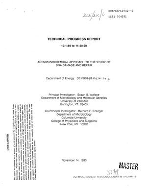 An Immunochemical Approach to the Study of DNA Damage and Repair, Technical Progress Report: 1989-1990
