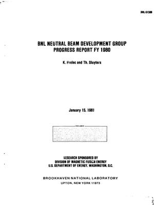 BNL neutral beam development group. Progress report FY 1980