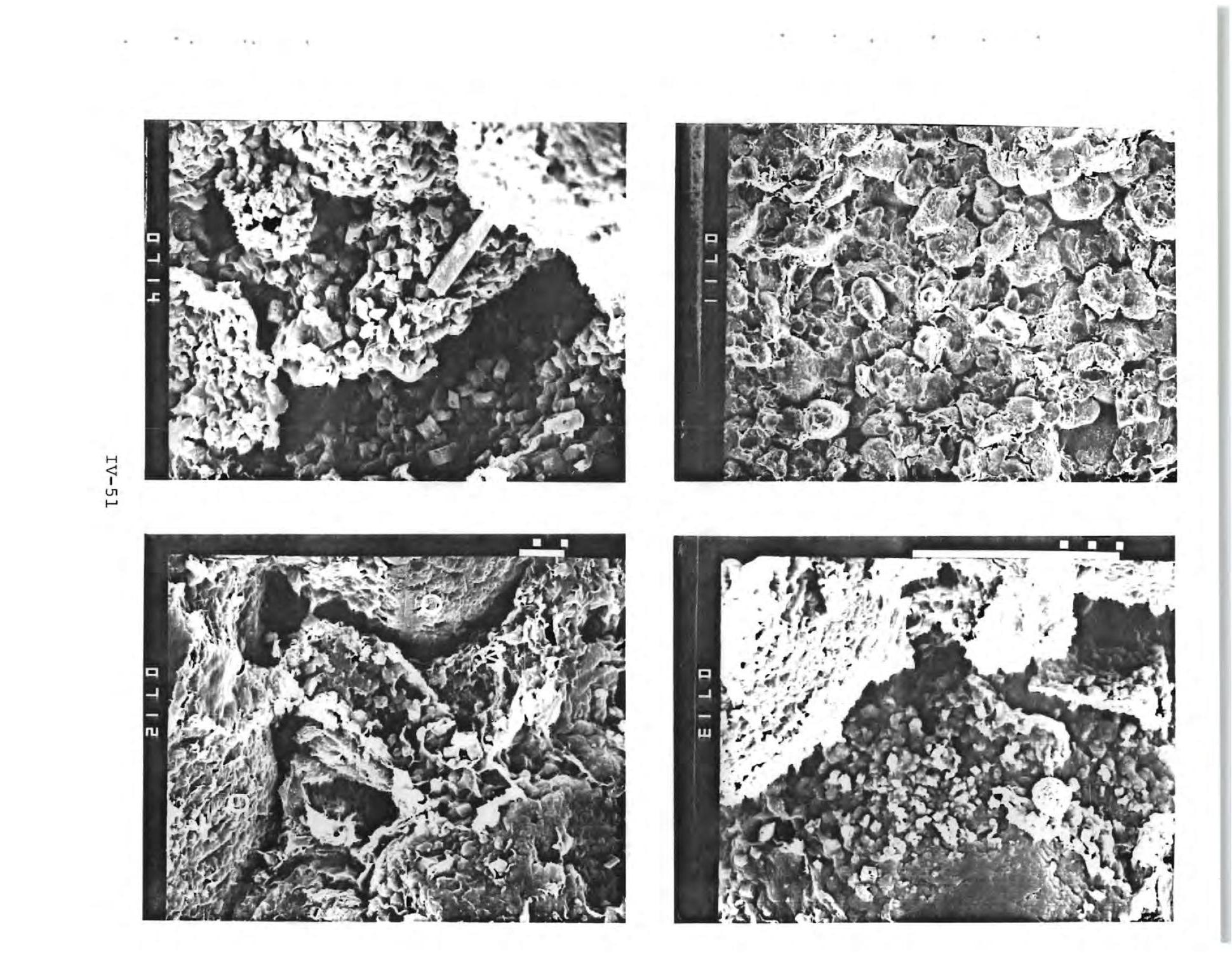 Pre-test geological and geochemical evaluation of the Caprock, St. Peter Sandstone and formation fluids, Yakley Field, Pike County, Illinois
                                                
                                                    [Sequence #]: 191 of 275
                                                