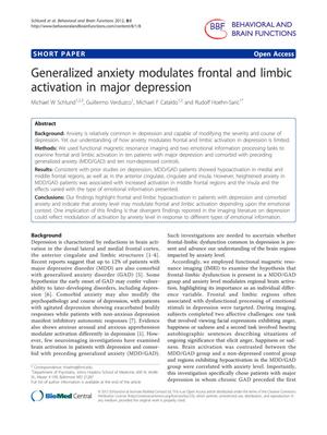 Primary view of object titled 'Generalized anxiety modulates frontal and limbic activation in major depression'.