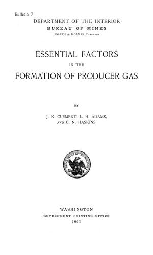 Essential Factors in the Formation of Producer Gas