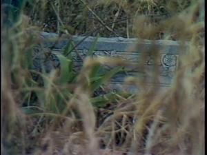 [News Clip: Abandoned cemetery]