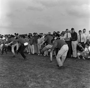 [Photograph of fraternities playing tug-of-war #3]