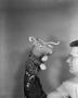 Photograph: [Longhorn puppet, 3]