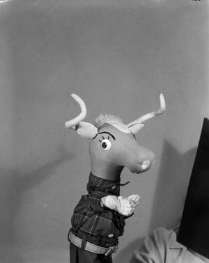[Longhorn puppet]