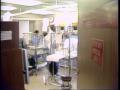 Video: [News Clip: Transplant process]