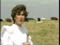 Primary view of [News Clip: Rural crime]