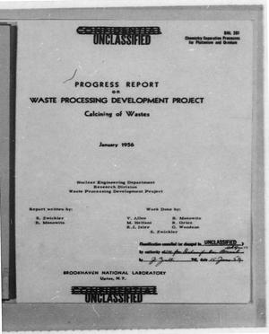 Progress Report on Waste Processing Development Project