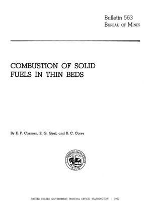 Combustion of Solid Fuels in Thin Beds