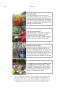 Thumbnail image of item number 4 in: 'Cultivando Un Jardín De Nombres en Los Bosques en Miniatura Del Cabo De Hornos: Extensión De La Conservación Biocultural Y La Ética a Seres Vivos Poco Percibidos'.