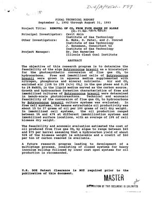 Removal of CO{sub 2} from flue gases by algae. Final technical report, September 1, 1992--August 31, 1993