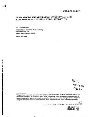 Lead macro-encapsulation conceptual and experimental studies. Final report