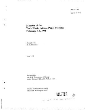 Hanford Tank Safety Project: Minutes of the Tank Waste Science Panel meeting, February 7--8, 1991