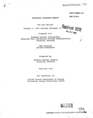 Advanced Coal Conversion Process Demonstration Project. Technical progress report, January 1, 1991--December 31, 1991