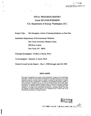 The oncogenic action of ionizing radiation on rat skin. Final progress report, May 1, 1990--April 30, 1992