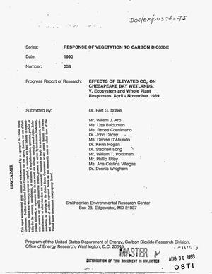 Effects of elevated CO{sub 2} on Chesapeake Bay wetlands. [Progress report, 1988--1989]