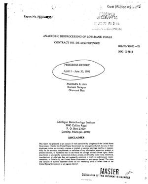 Anaerobic bioprocessing of low rank coals. Quarterly progress report, April 1--June 30, 1991