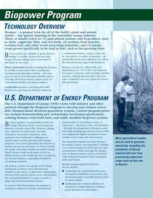 Biopower Program Technology Overview