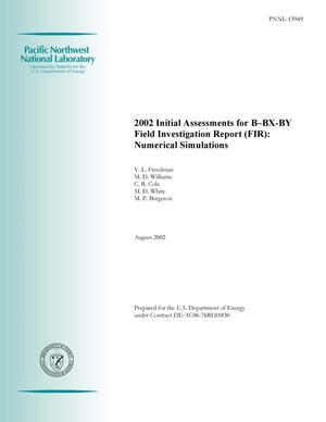 2002 Initial Assessments for B-BX-BY Field Investigation Report (FIR): Numerical Simulations