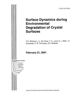 Surface Dynamics during Environmental Degradation of Crystal Surfaces