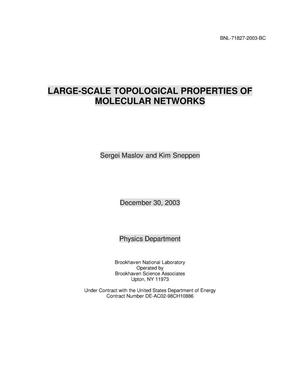 Large-Scale Topological Properties of Molecular Networks.