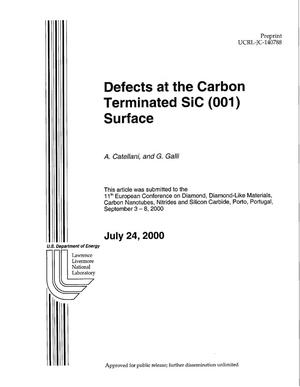 Defects at the carbon terminated SiC (001) surface
