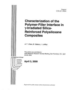Characterization of the polymer-filler interface in (gamma)-irradiated silica-reinforced polysiloxane composites