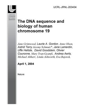 The DNA sequence and biology of human chromosome 19